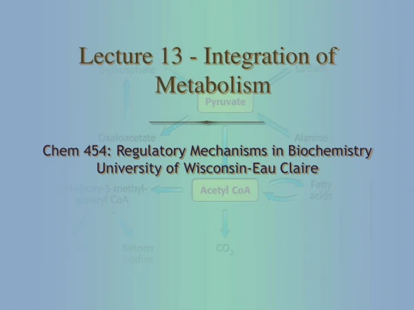 Lecture 13 - Integration of Metabolism