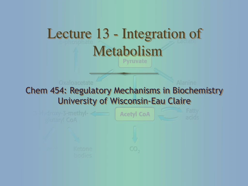lecture 13 integration of metabolism