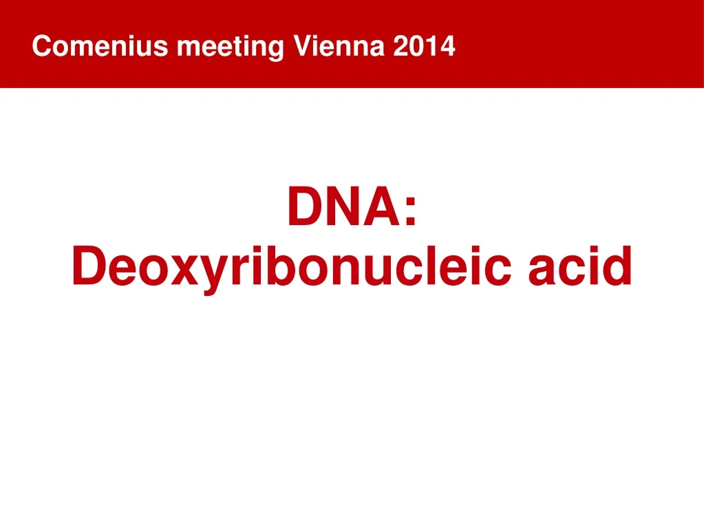 dna deoxyribonucleic acid