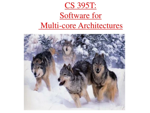 CS 395T: Software for              Multi-core Architectures