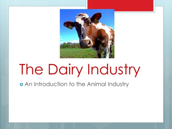 The Dairy Industry