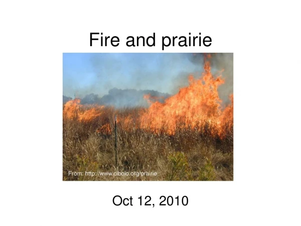 Fire and prairie