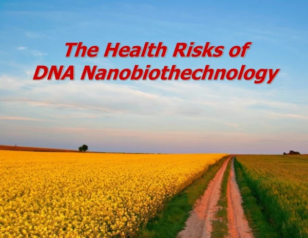 The Health Risks of DNA  Nanobiothechnology