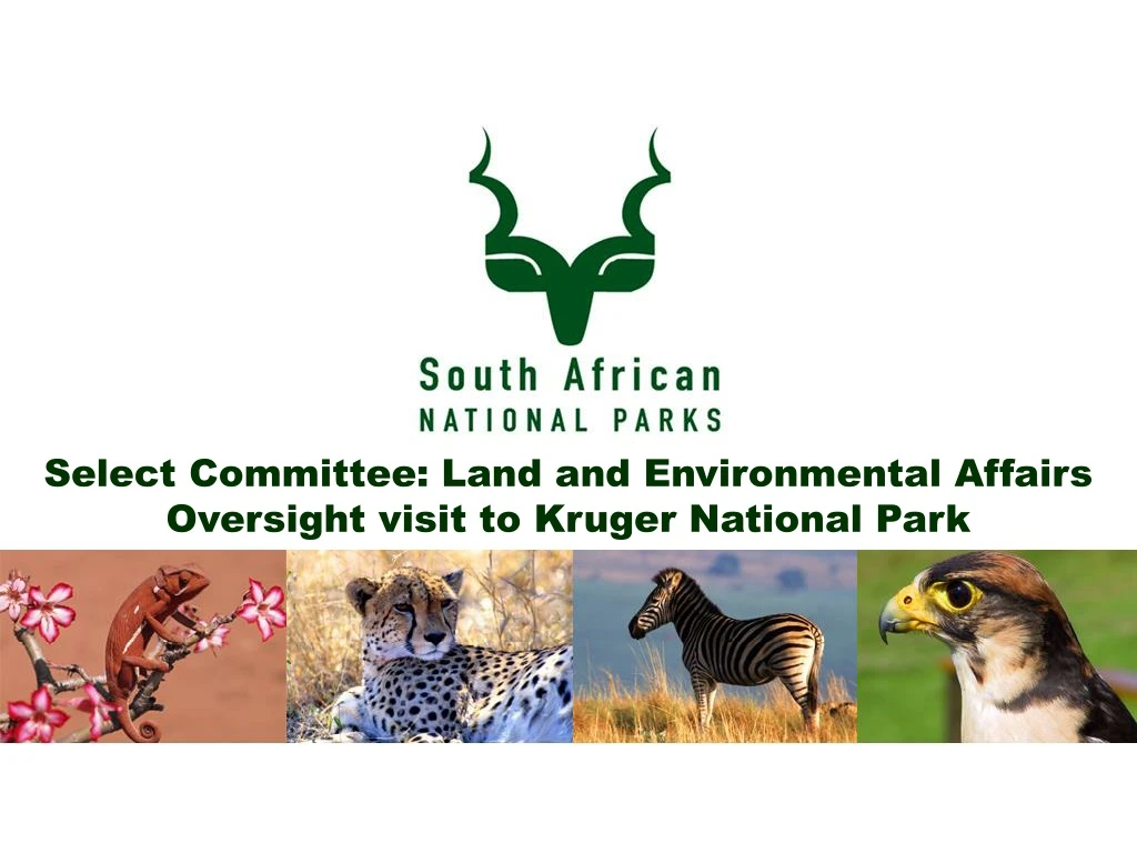 select committee land and environmental affairs oversight visit to kruger national park