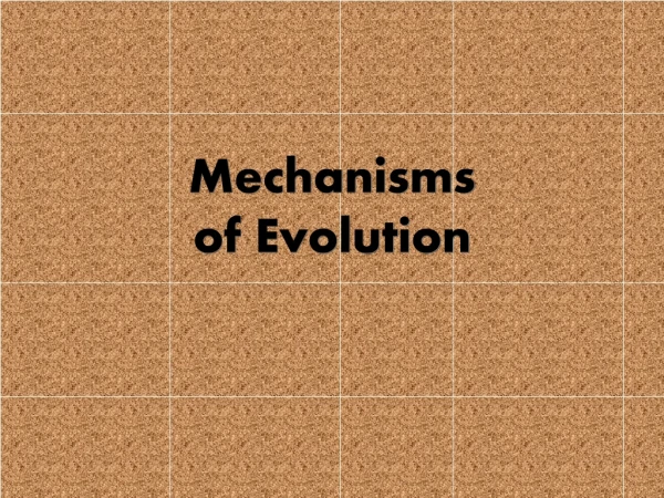 Mechanisms of Evolution