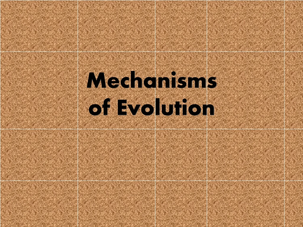 mechanisms of evolution