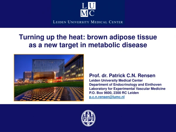 Turning up the heat: brown adipose tissue as a new target in metabolic disease