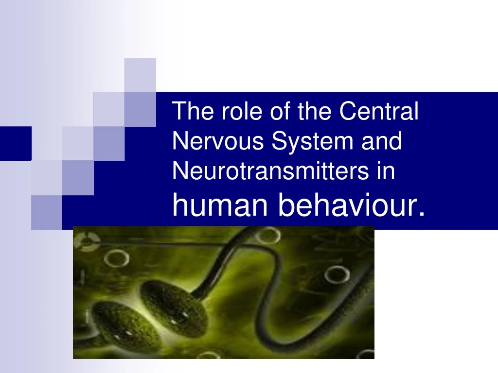 the role of the central nervous system and neurotransmitters in human behaviour