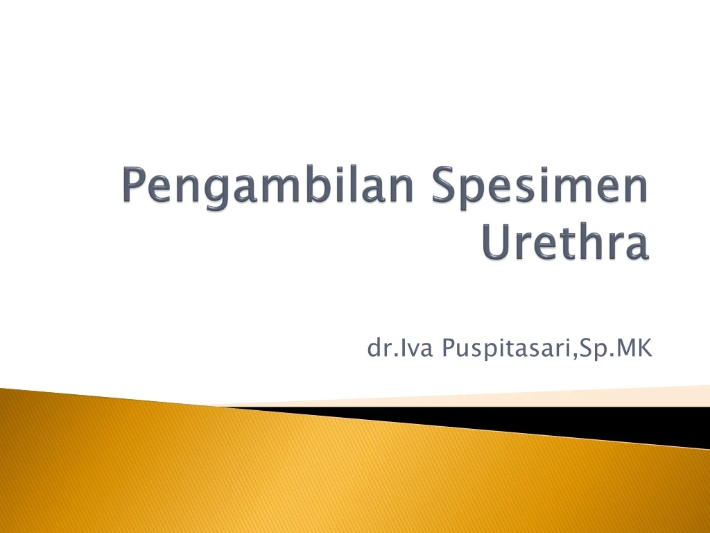 pengambilan spesimen urethra