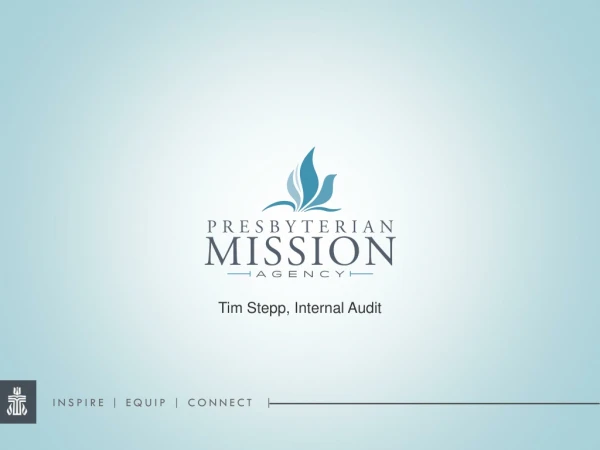 Tim Stepp, Internal Audit