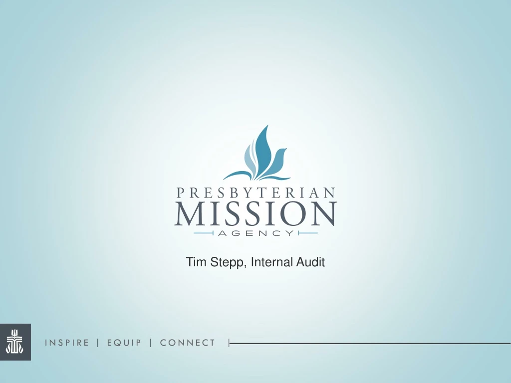 tim stepp internal audit