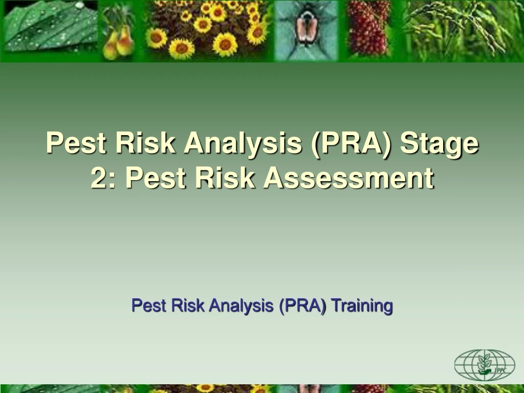 pest risk analysis pra stage 2 pest risk assessment