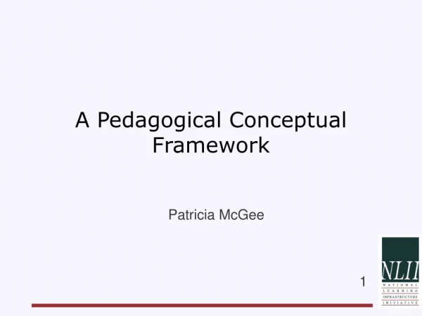 A Pedagogical Conceptual Framework