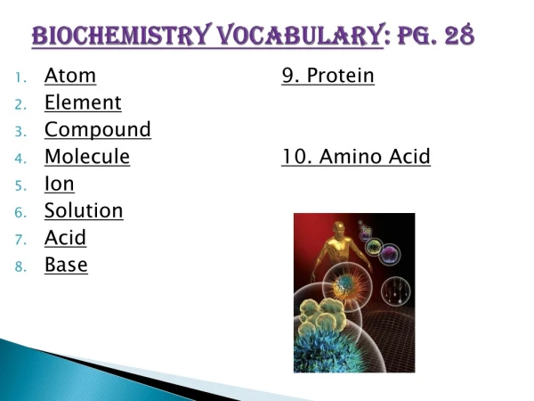 Biochemistry Vocabulary : pg. 28