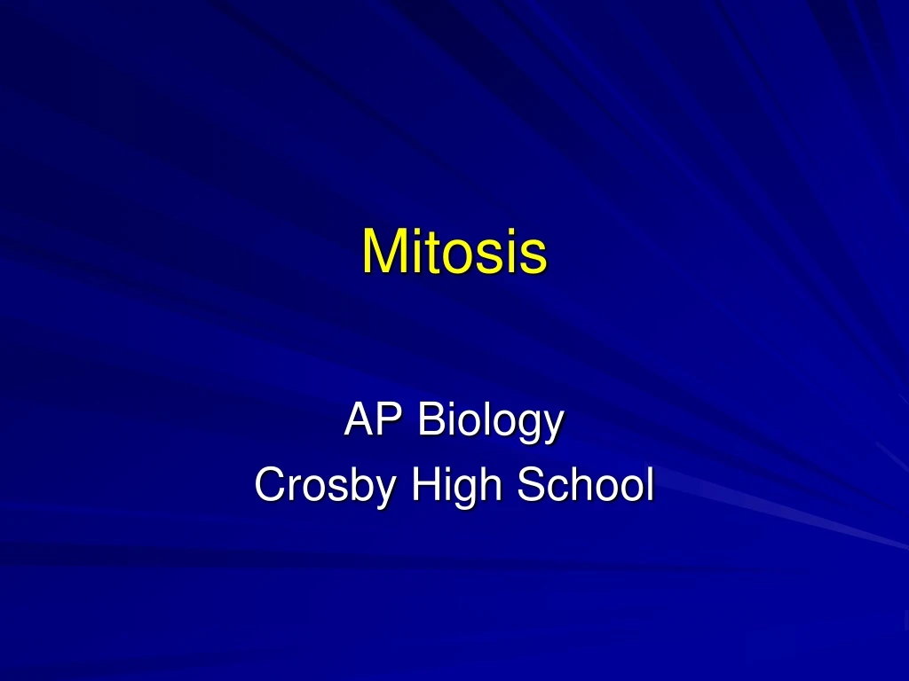 mitosis