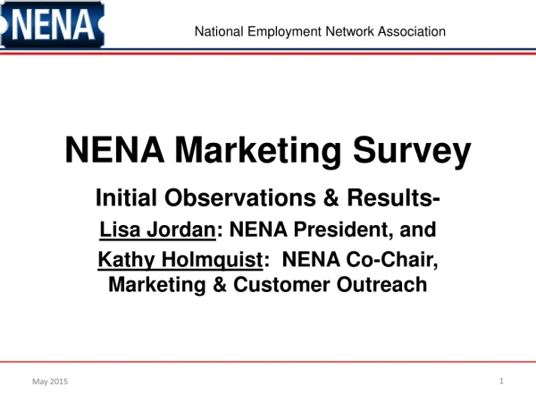 NENA Marketing Survey