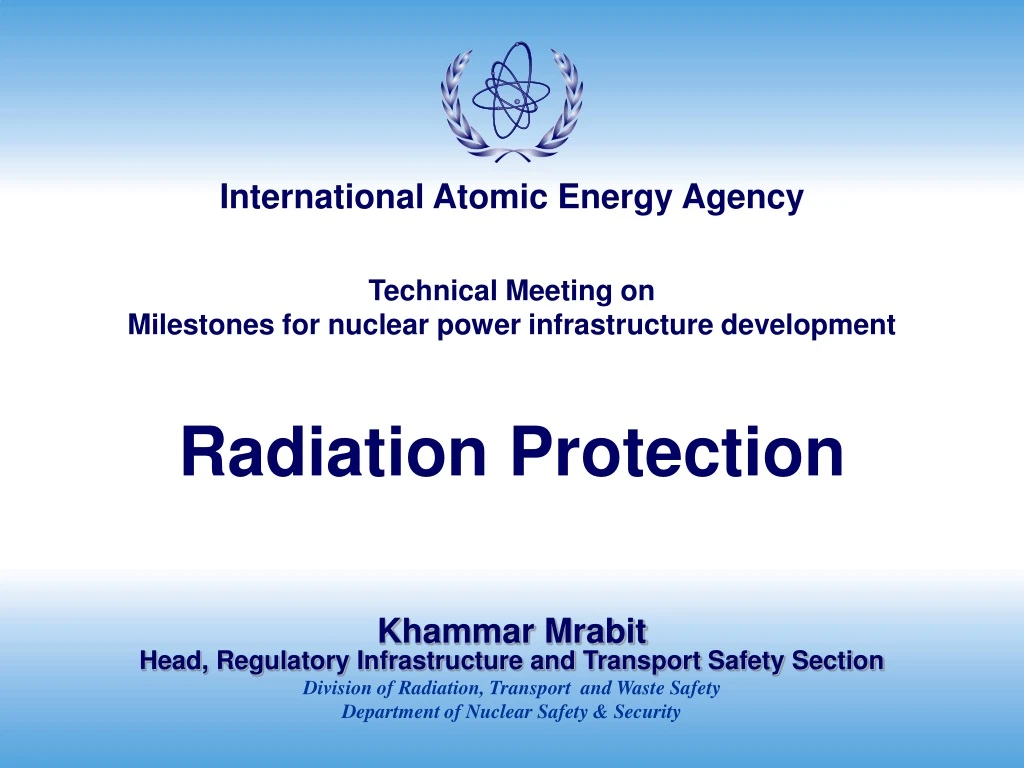 technical meeting on milestones for nuclear power