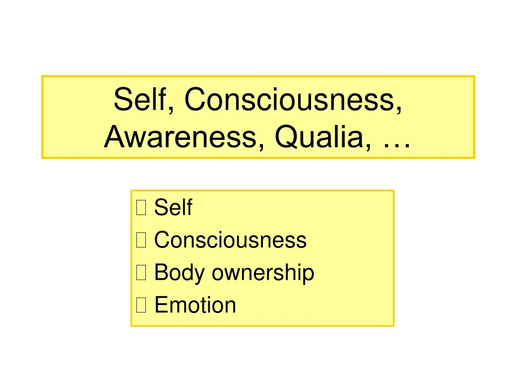self consciousness awareness qualia
