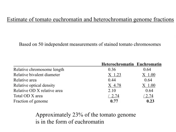 Heterochromatin Euchromatin Relative chromosome length			      0.36		      0.64