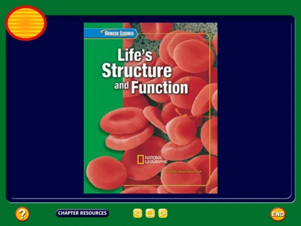 Chapter:  Cell Reproduction
