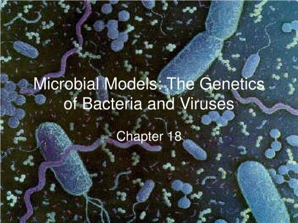Microbial Models: The Genetics of Bacteria and Viruses
