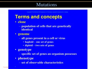Understanding Mutations and Genetic Changes - slide 1