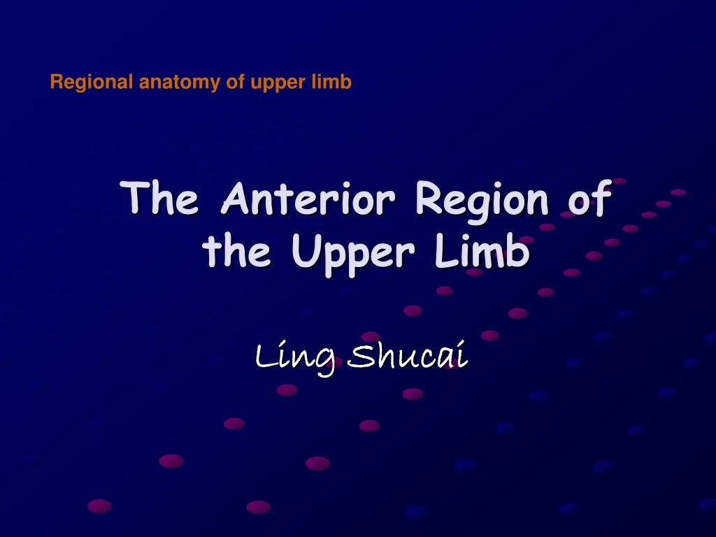 the anterior region of the upper limb