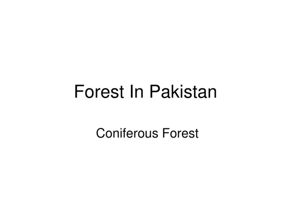 Forest In Pakistan