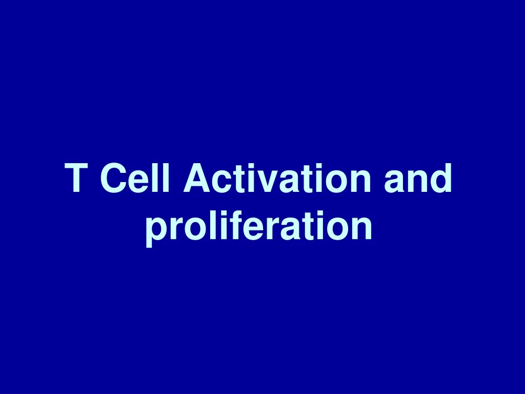 t cell activation and proliferation