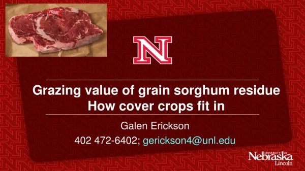 Grazing value of grain sorghum residue How cover crops fit in
