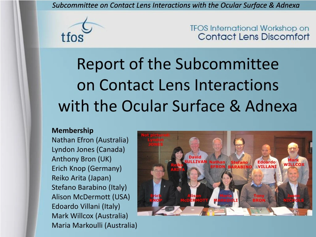 report of the subcommittee on contact lens