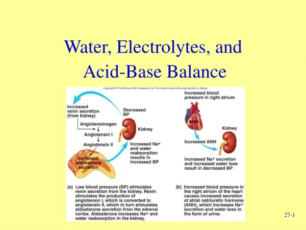 Water, Electrolytes, and  Acid-Base Balance