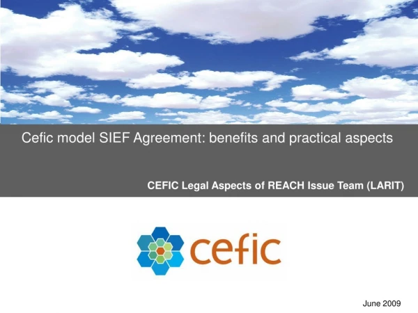 Cefic model SIEF Agreement: benefits and practical aspects