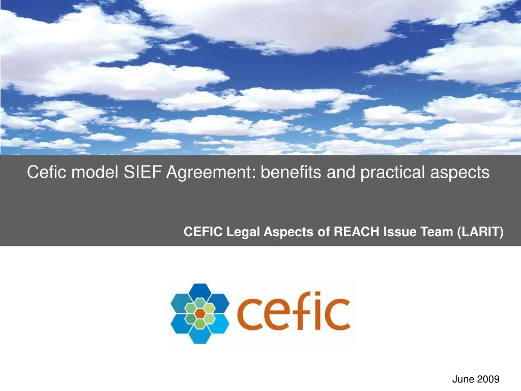 cefic model sief agreement benefits and practical