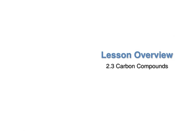 Lesson Overview