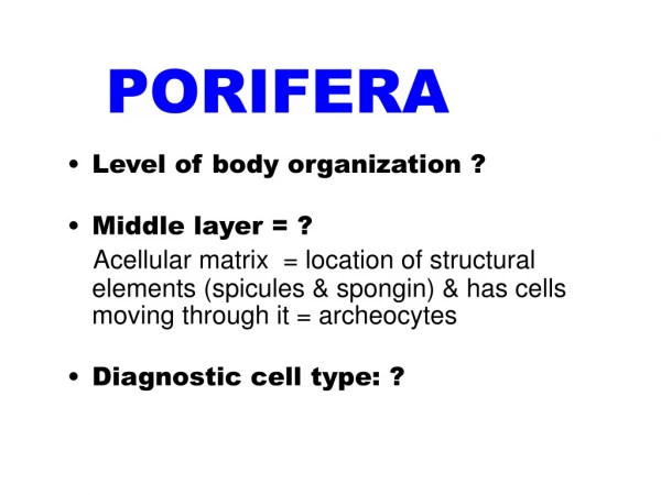 Level of body organization ? Middle layer = ?