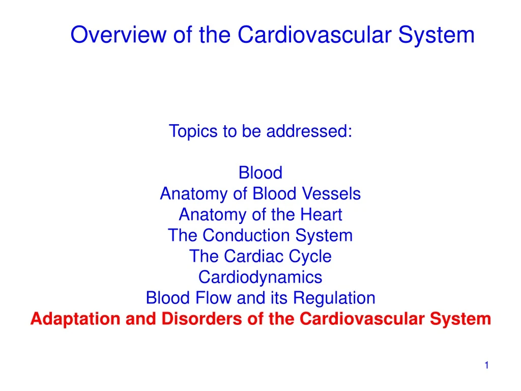 overview of the cardiovascular system