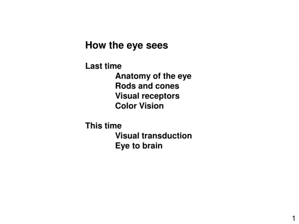 How the eye sees Last time 	Anatomy of the eye 	Rods and cones 	Visual receptors 	Color Vision