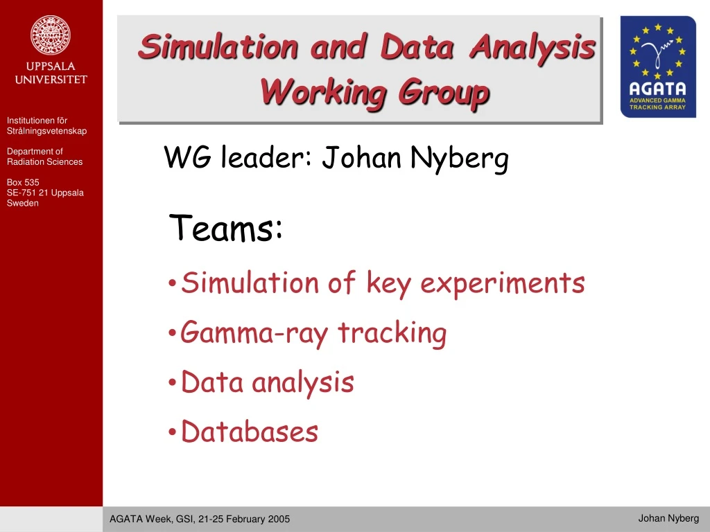 simulation and data analysis working group