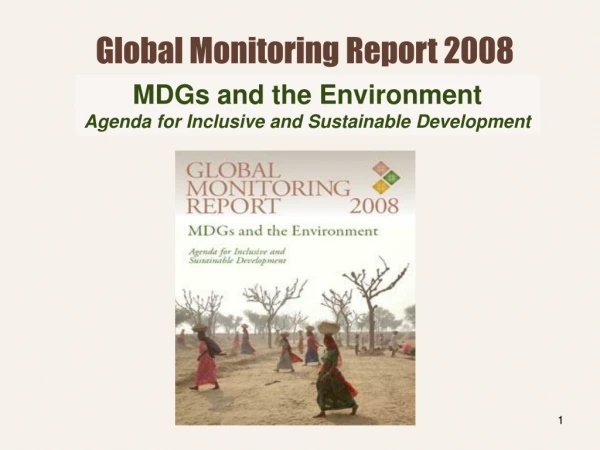 Global Monitoring Report 2008