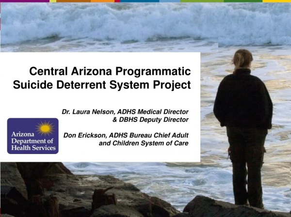 Central Arizona Programmatic Suicide Deterrent System Project