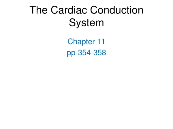 The Cardiac Conduction System