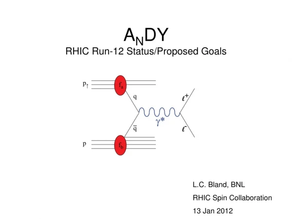 A N DY RHIC Run-12 Status/Proposed Goals