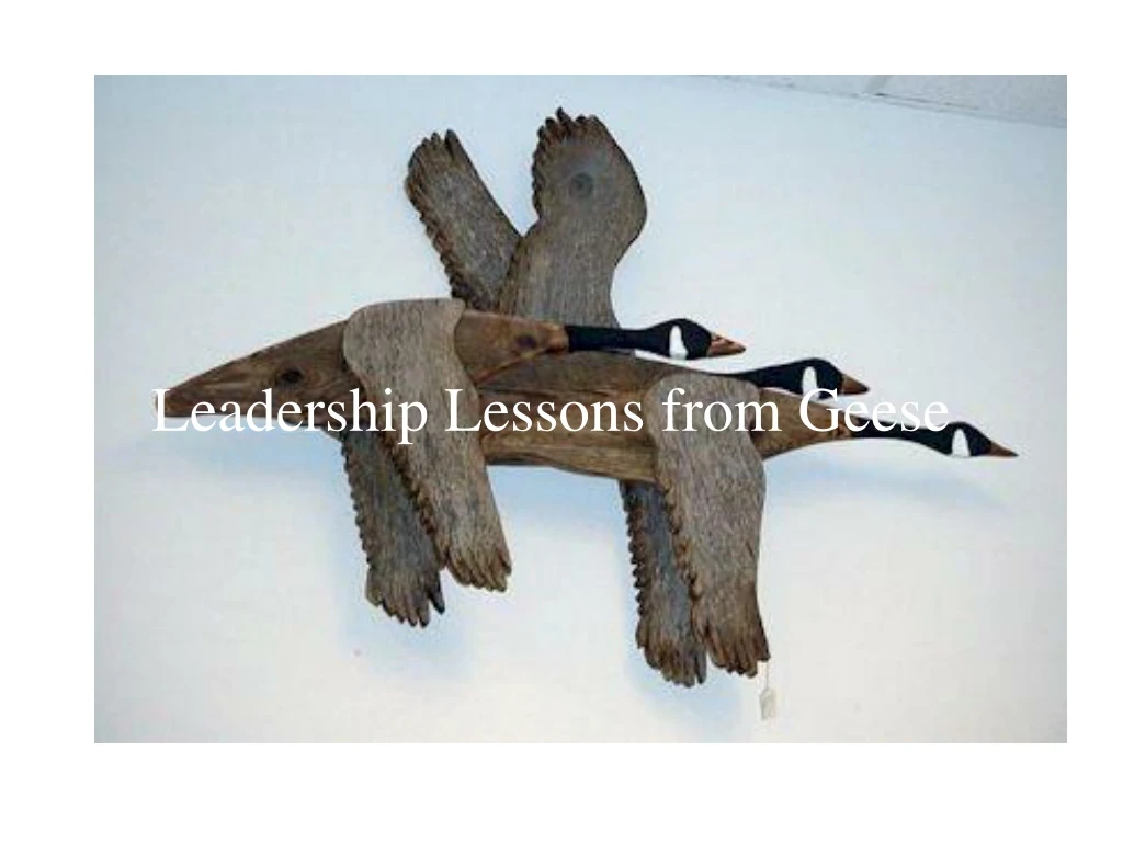 leadership lessons from geese