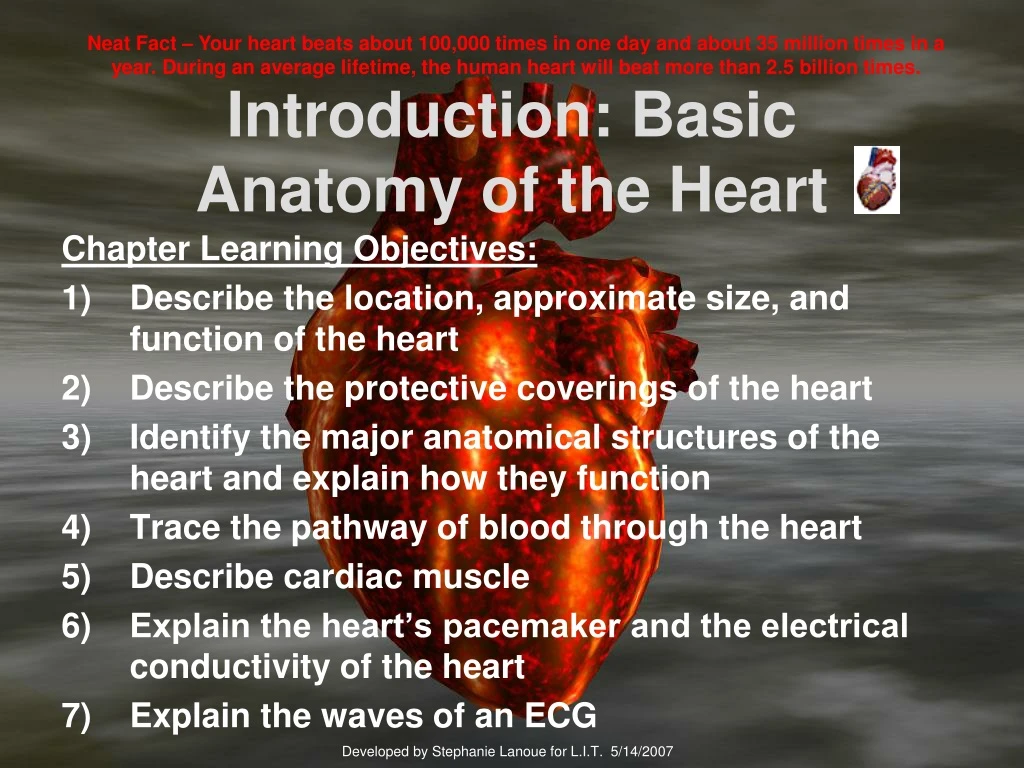 introduction basic anatomy of the heart