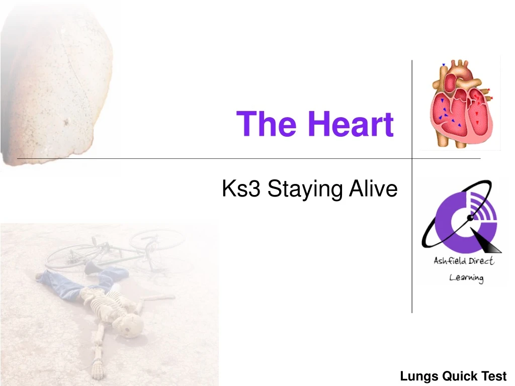 the heart