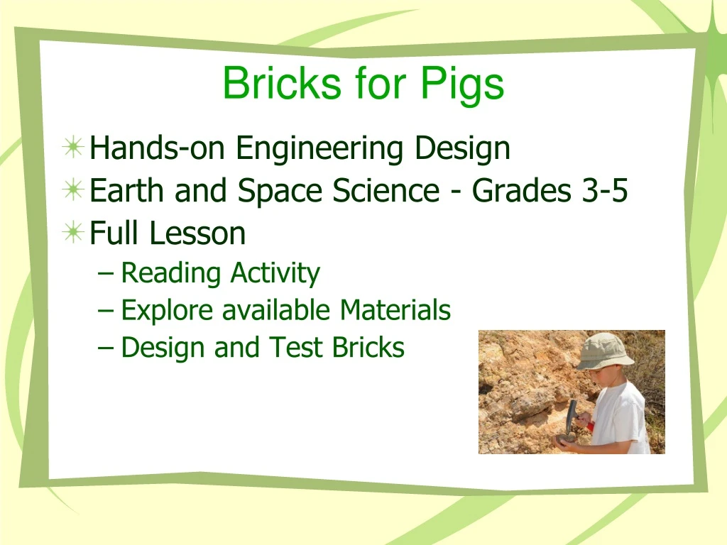 bricks f or pigs