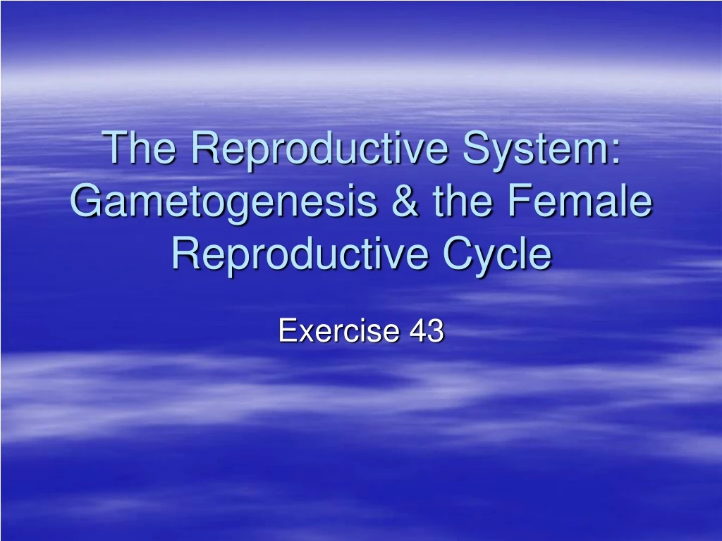 the reproductive system gametogenesis the female reproductive cycle