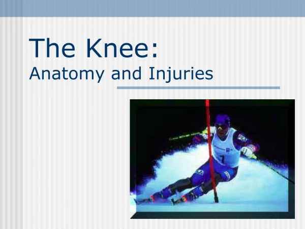 The Knee:  Anatomy and Injuries