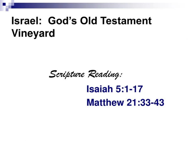 Israel:  God’s Old Testament Vineyard
